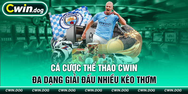 Thể thao Cwin đa dạng trò chơi (hình ảnh)