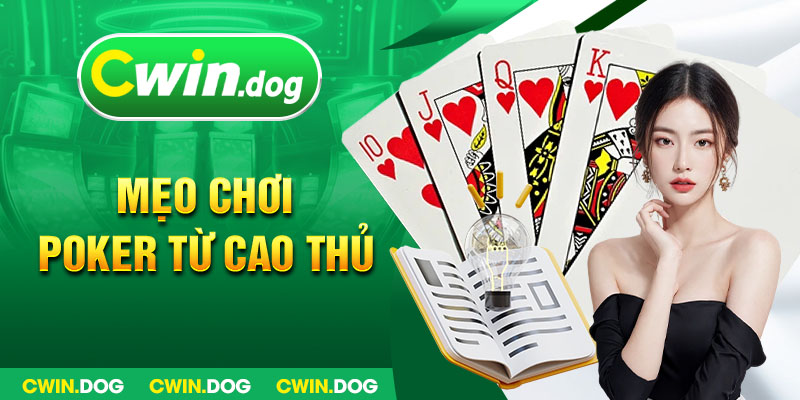 Chi tiết về các vòng cược mà bạn sẽ tham gia trong tựa game này